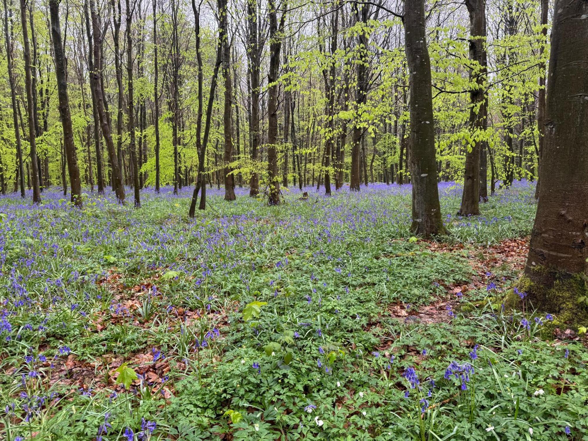 Camping L'Oree Des Caps Licques Zewnętrze zdjęcie